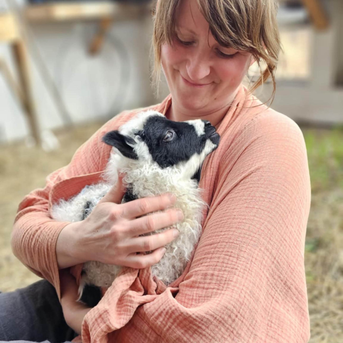 Mother's Day Sheep Meet & Greet