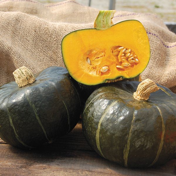 Buttercup Squash Burgess