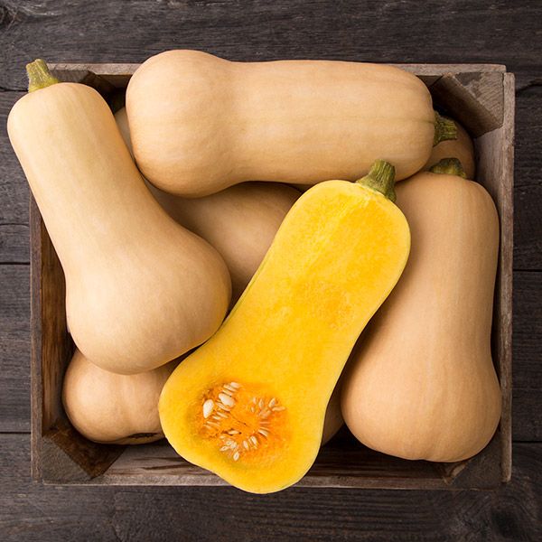 Butternut Squash Waltham