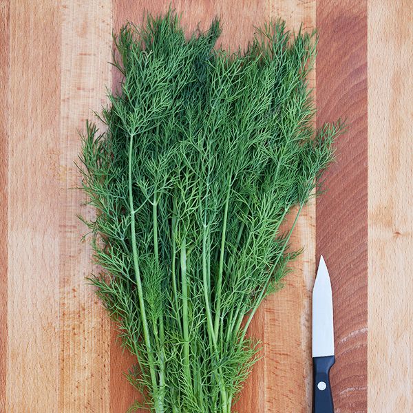 Dill Greensleeves