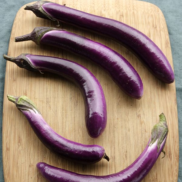 Eggplant Ping Tung Long