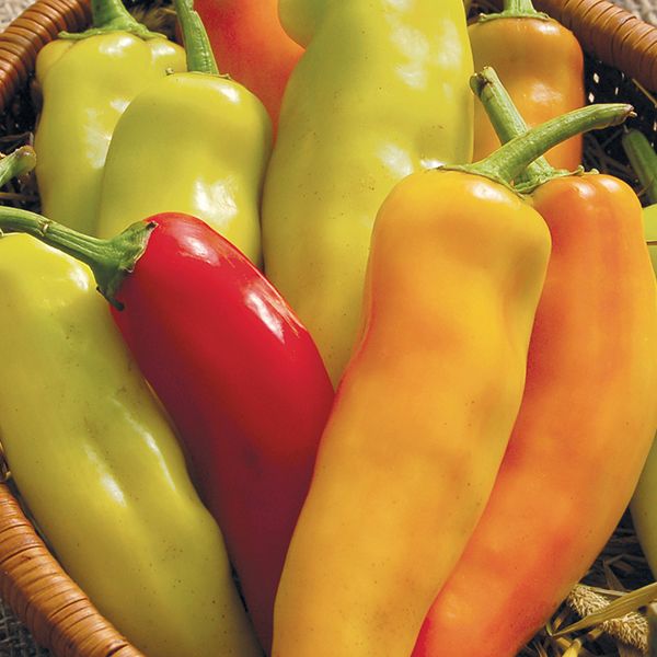 Pepper Hungarian Hot Wax