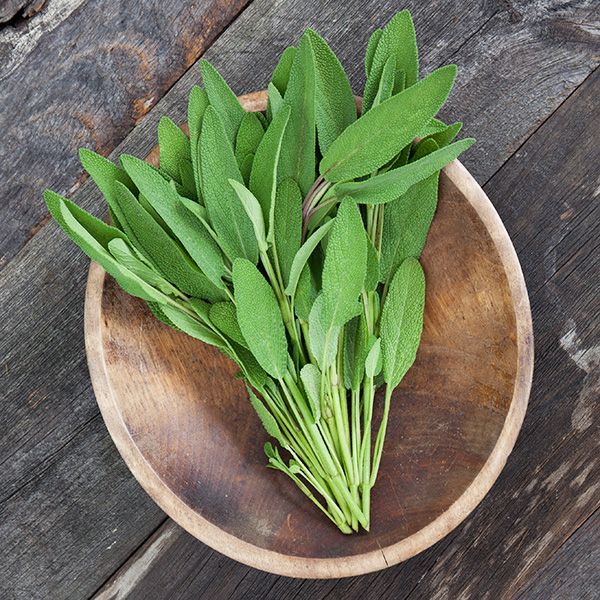 Sage