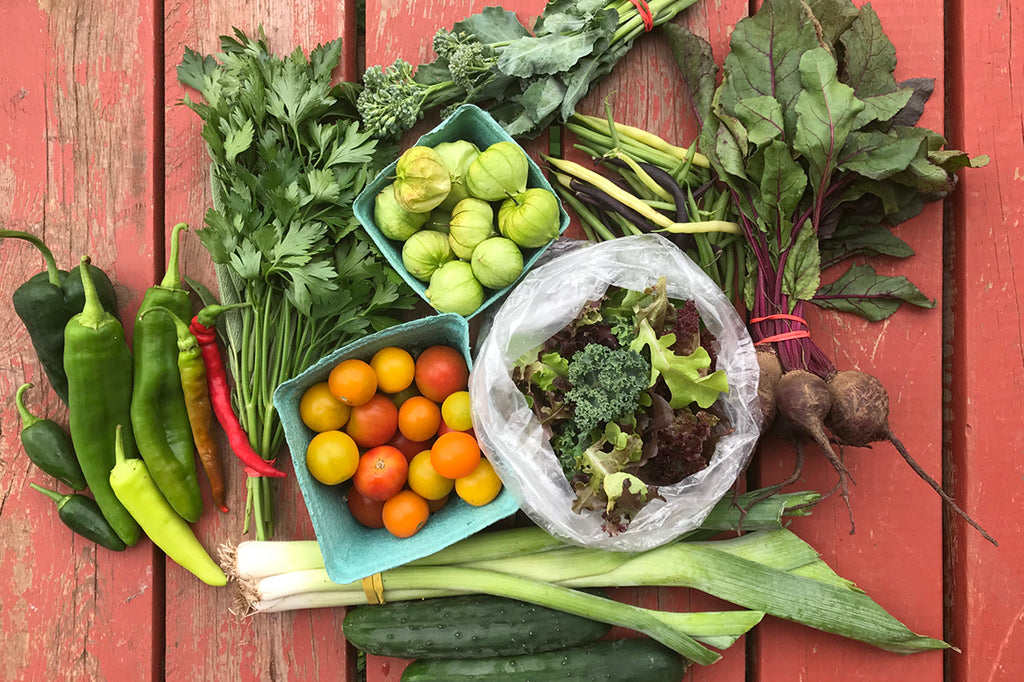 Nourishing Beauty
