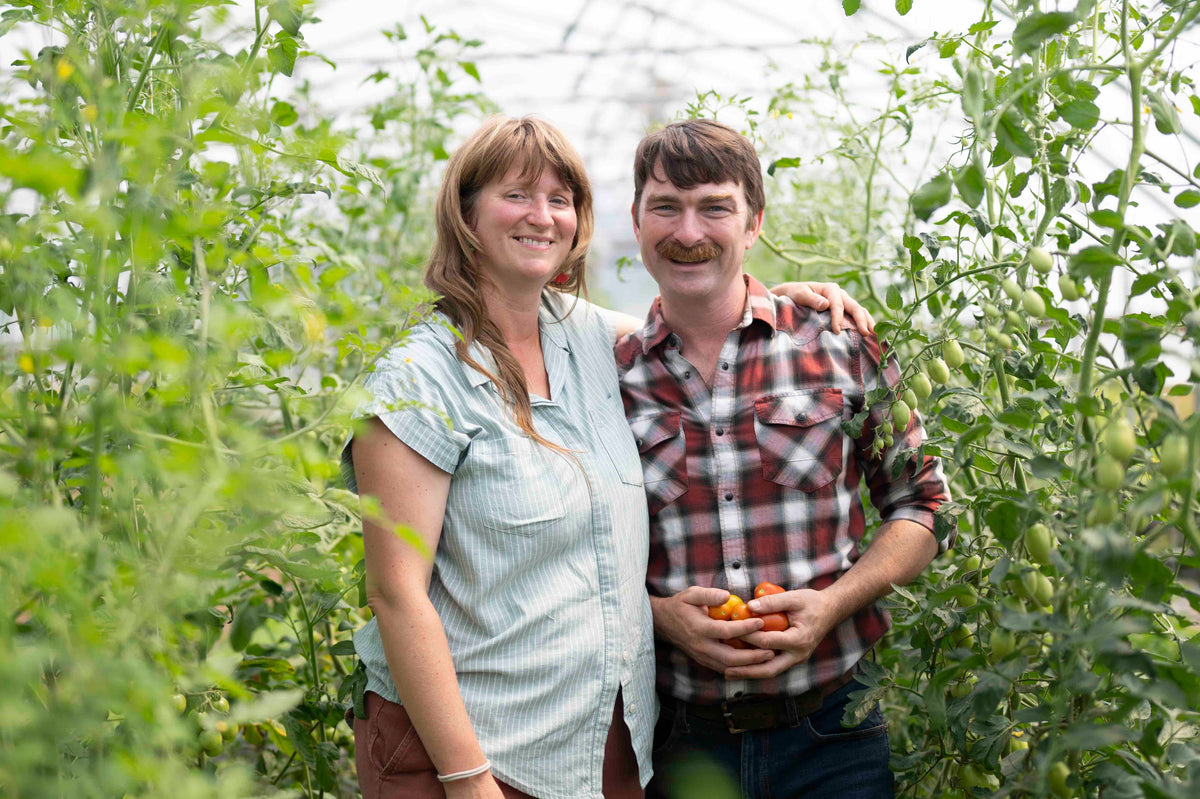 Farmers Emily and John Beaton standing in a high tunnel holding fruits, surrounded by green tomato plants.