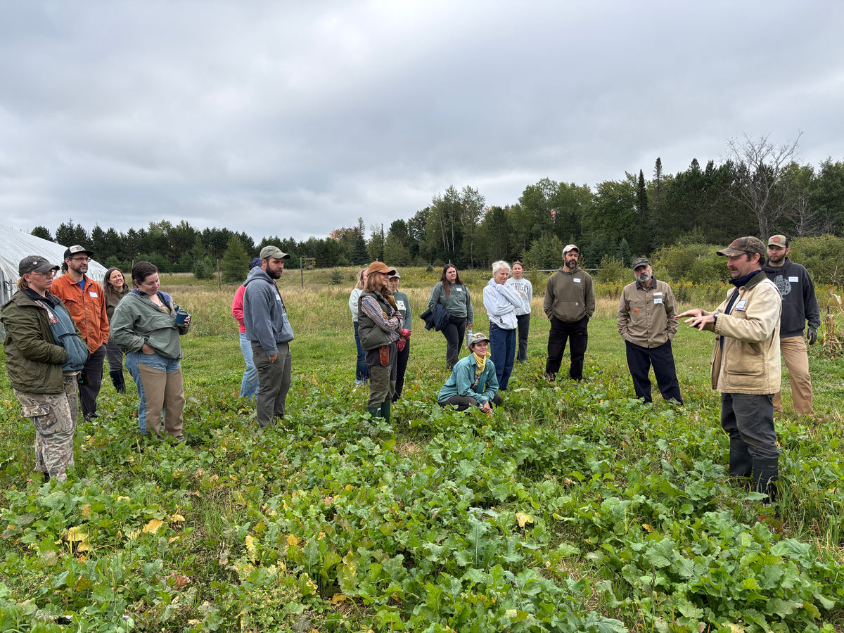 A group of people standing in a farm field under an overcast sky, listening to farmer John Beaton who is gesturing toward the plants as he discusses the farm's cover crop rotation in the field. The scene shows a diverse group of farmers, researchers, or students outdoors in a natural environment.