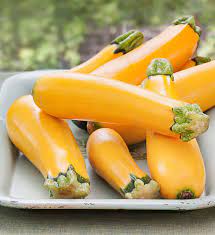 Zucchini Golden