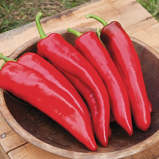 Pepper Anaheim NuMex Joe E. Parker