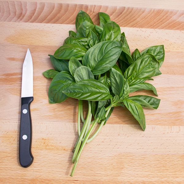 Basil Genovese