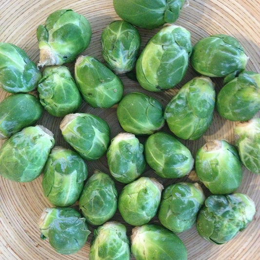 Brussels Sprouts Long Island