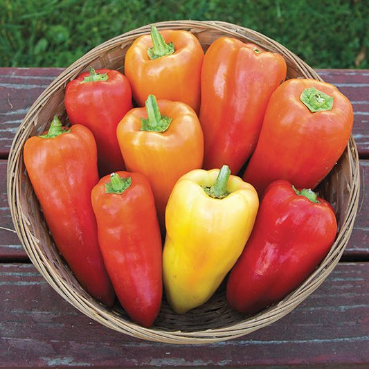 Pepper Paprika Feher Ozon