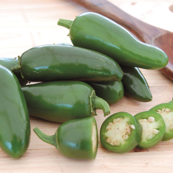 Pepper Jalapeño Early