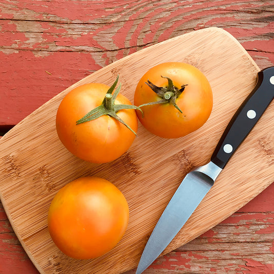 Tomato Juane Flamme